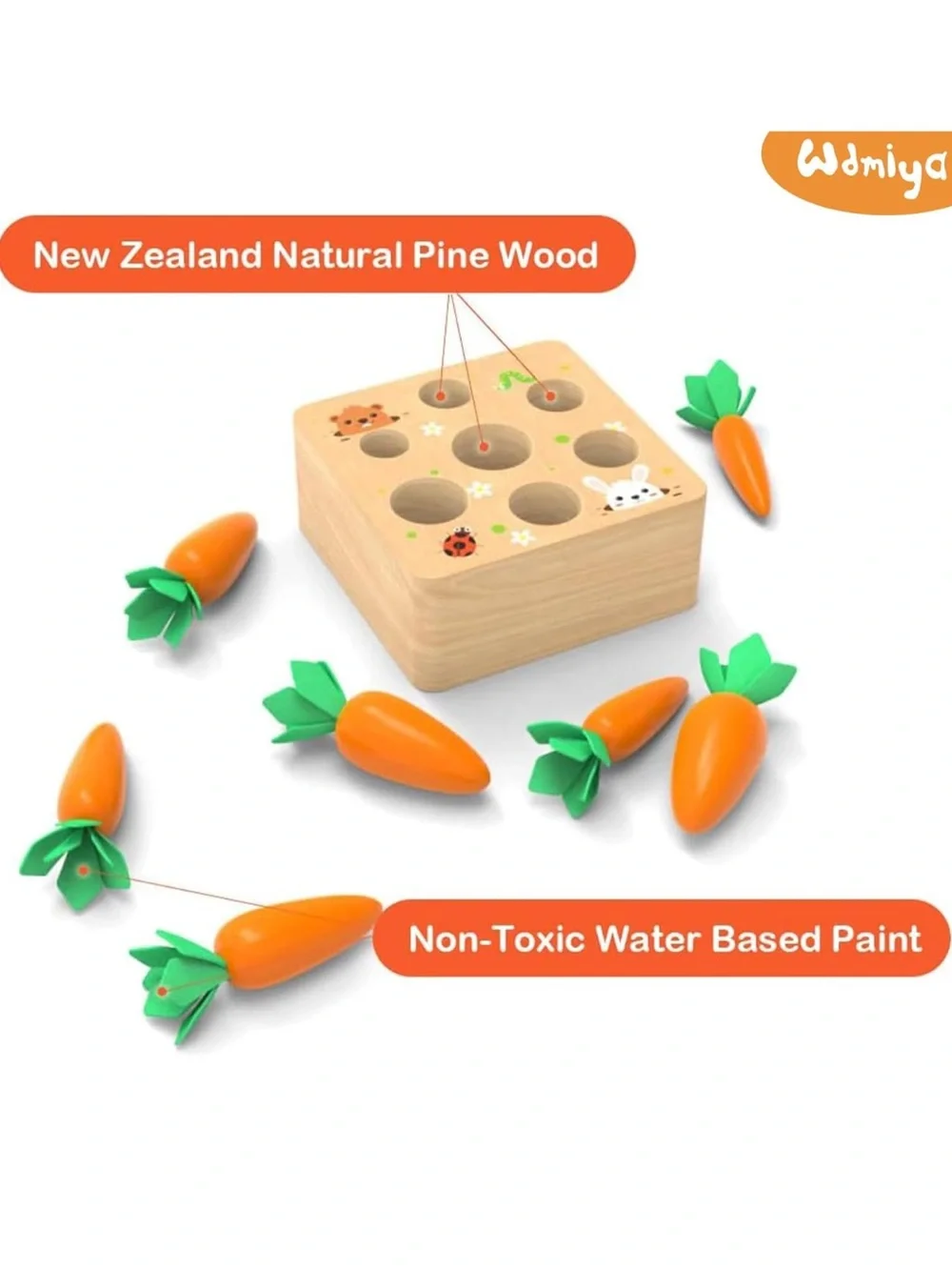 Montessori Carrot Harvest